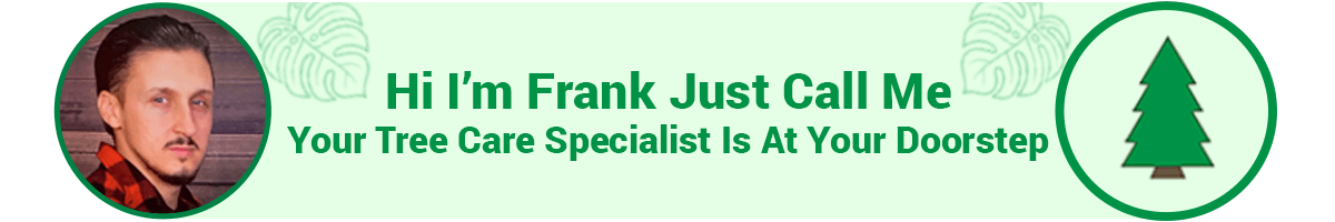 Tree Specialist Frank